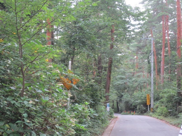 f0248616_12583790.jpg