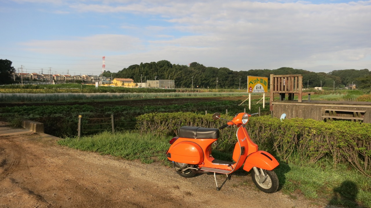 f0225627_2234103.jpg
