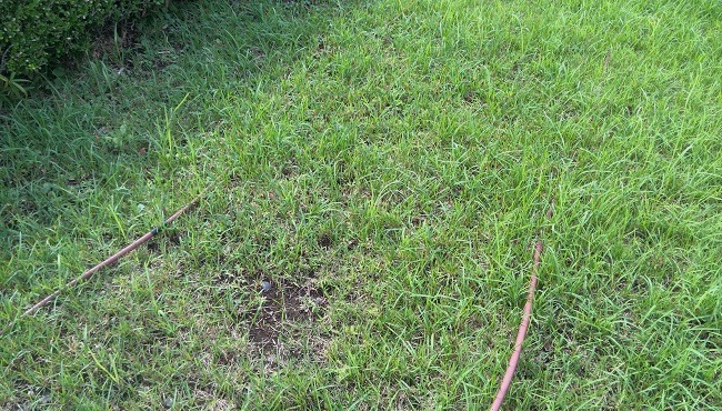 e0199937_2159975.jpg