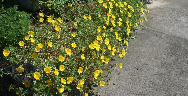 f0042737_16373441.jpg