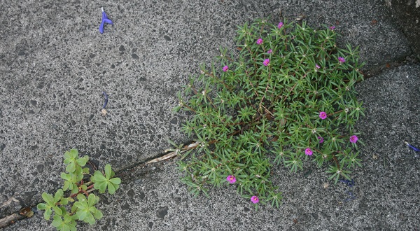 f0042737_1639377.jpg
