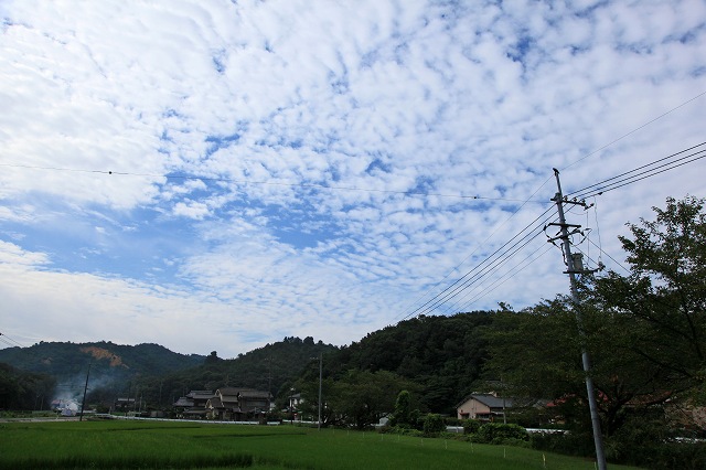 a0242438_19195356.jpg