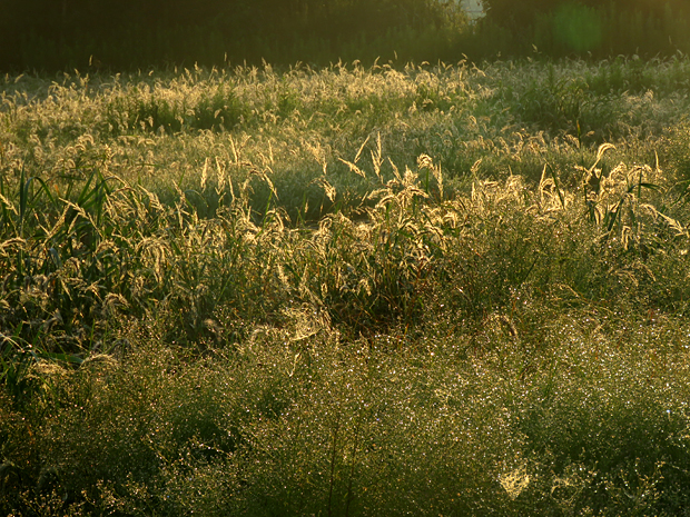 f0214649_4531869.jpg