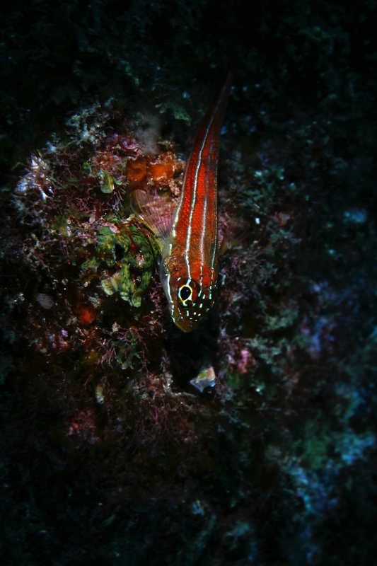 e0314451_13404114.jpg