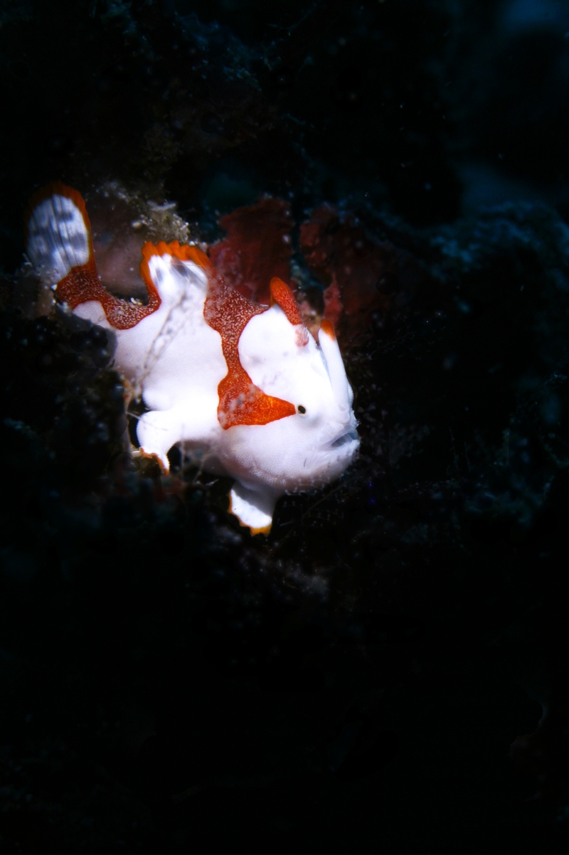 e0314451_1344195.jpg