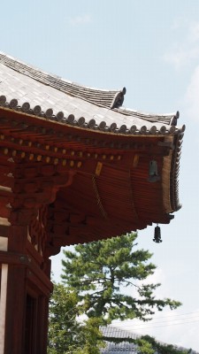 b0070756_0344653.jpg