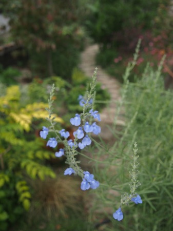 b0246758_20432541.jpg