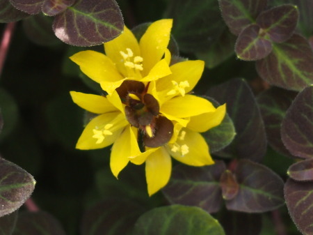 b0246758_20594369.jpg