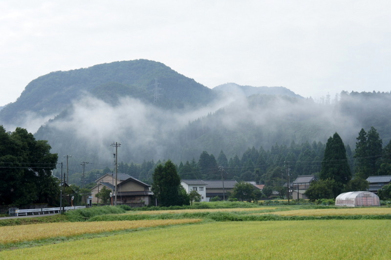 c0087867_22010049.jpg