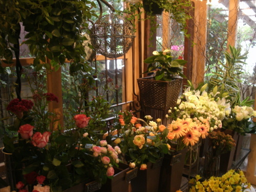 f0343570_17571317.jpg