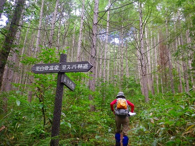 f0182173_1573651.jpg