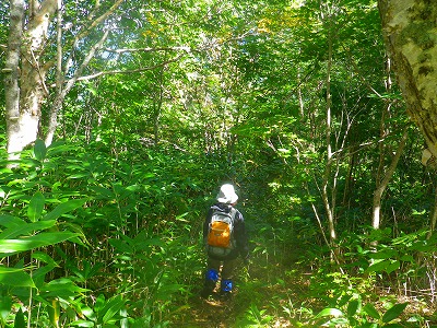 f0182173_1583446.jpg
