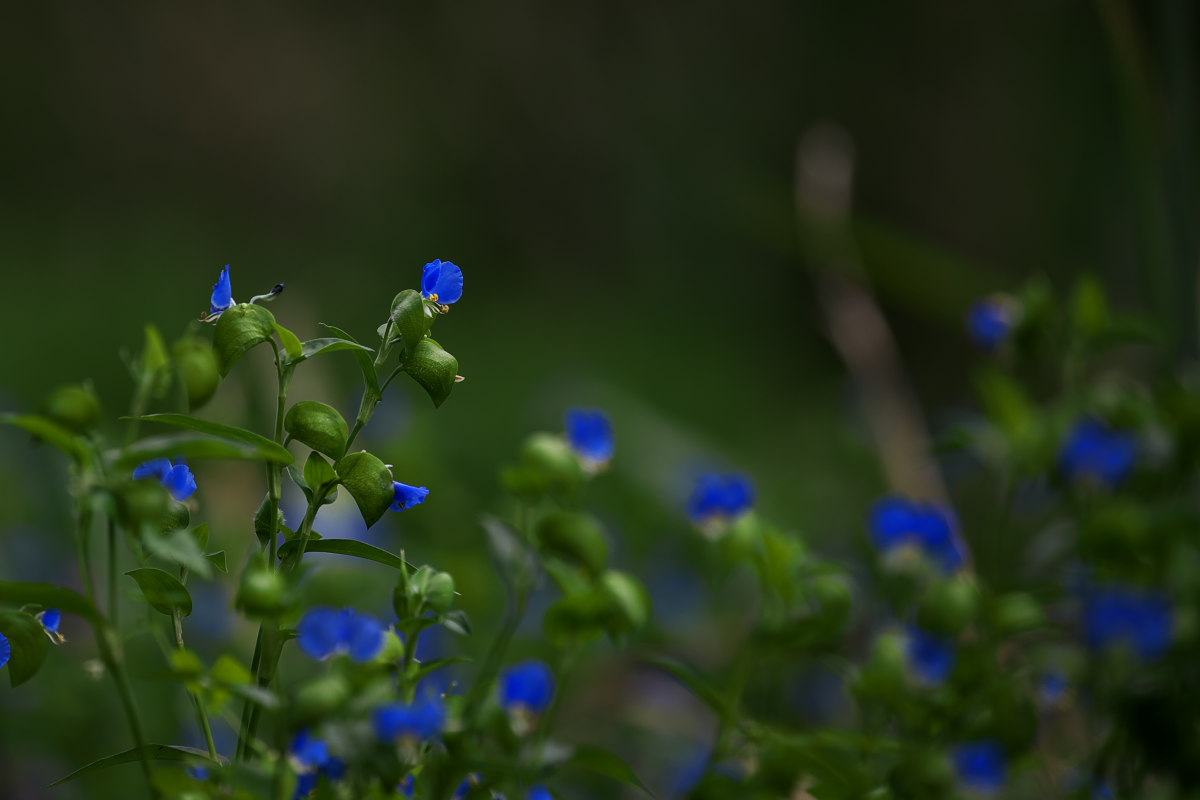 a0083081_21274916.jpg