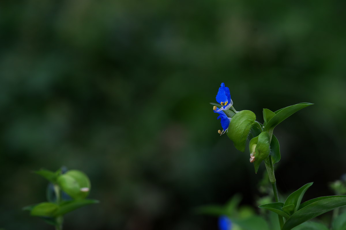 a0083081_21281286.jpg