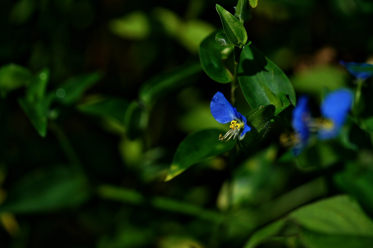 a0083081_2128590.jpg