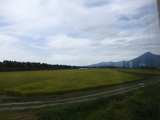d0257690_14262681.jpg