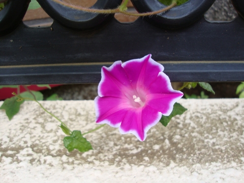 c0322794_19144373.jpg