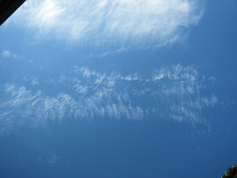 c0108198_17483570.jpg