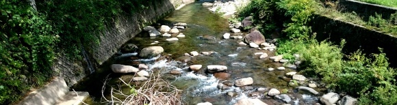 f0266202_17384557.jpg
