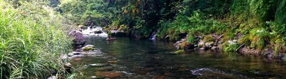 f0266202_17400841.jpg