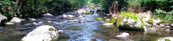 f0266202_17402715.jpg