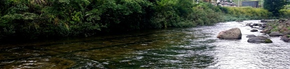 f0266202_17441978.jpg