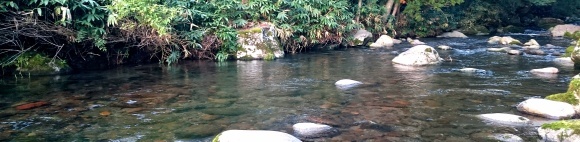 f0266202_17465670.jpg