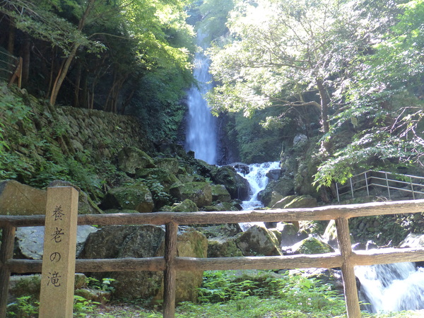 c0266004_8384159.jpg