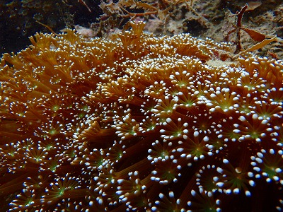 b0062010_17214139.jpg