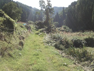 c0359615_20320230.jpg