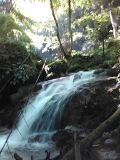 c0359615_20321289.jpg