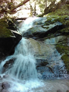 c0359615_20322592.jpg
