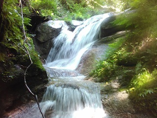 c0359615_20324014.jpg