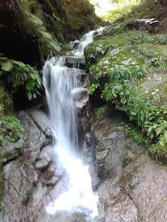 c0359615_20325470.jpg