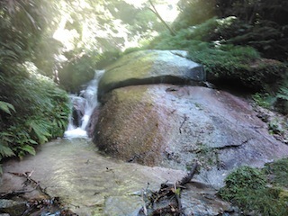 c0359615_20331785.jpg