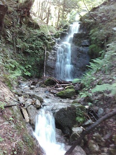 c0359615_20332851.jpg