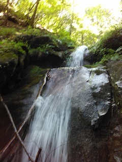 c0359615_20335019.jpg