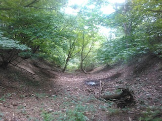 c0359615_20371341.jpg