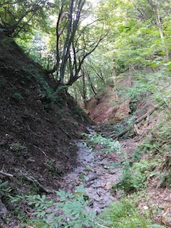 c0359615_20372311.jpg