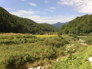 c0359615_20373416.jpg