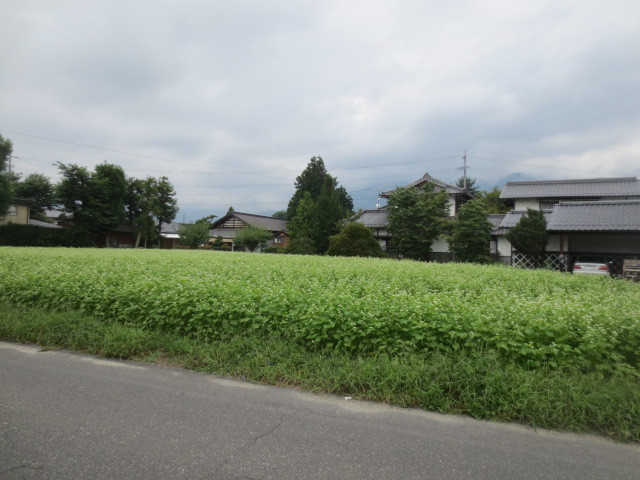 f0248616_12314100.jpg