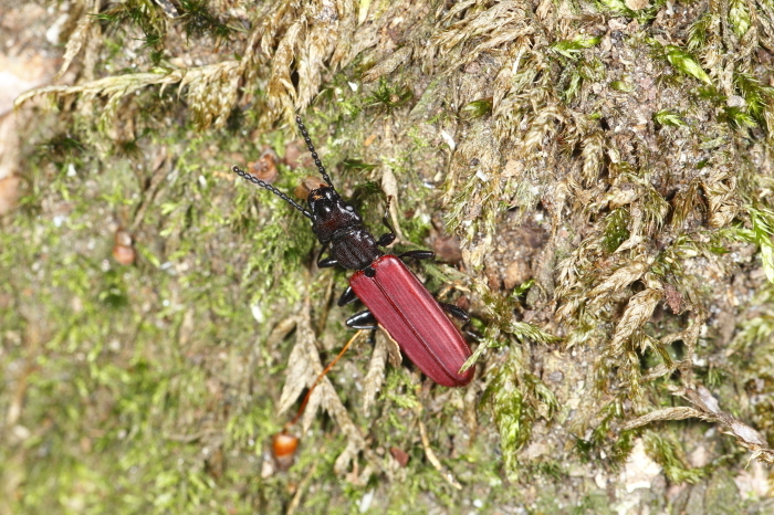 e0337826_06594910.jpg
