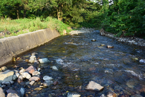b0195927_23331229.jpg