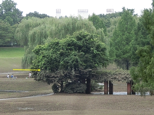 b0279527_20311426.jpg