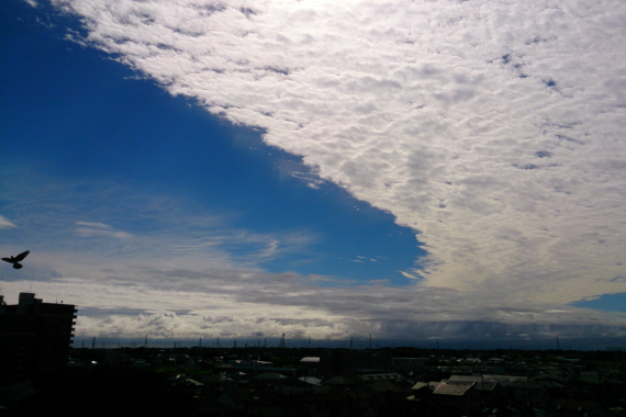 b0251929_16465795.jpg