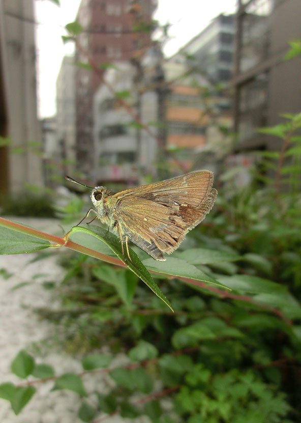 a0126632_1464756.jpg