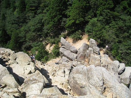 c0077338_8101917.jpg