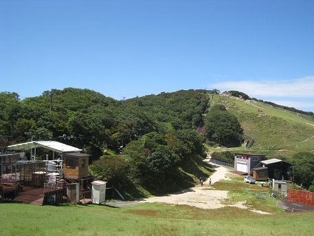 c0077338_8104798.jpg
