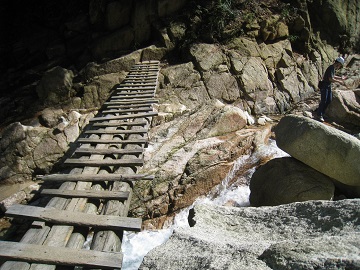 c0077338_8111896.jpg