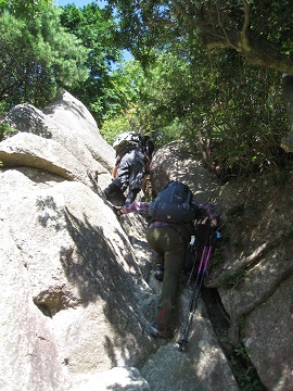 c0077338_895129.jpg